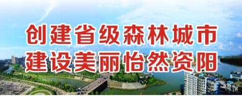 骚逼成人创建省级森林城市 建设美丽怡然资阳